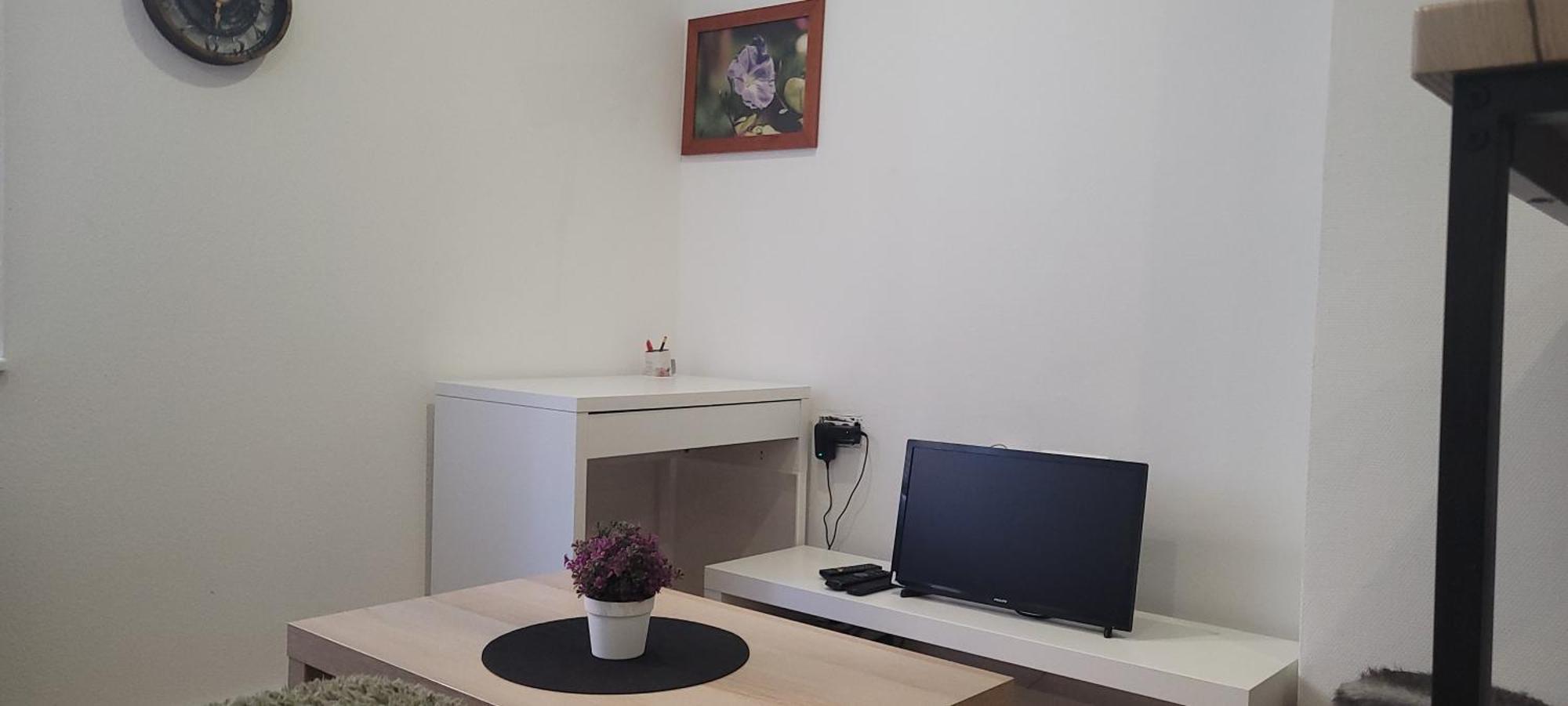 Studio Petit Battant Wifi Supercentre Tres Calme Безансон Экстерьер фото